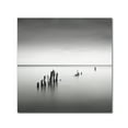 thumbnail image 2 of Trademark Fine Art "Slow Fade" Canvas Art by Dave MacVicar, 2 of 4