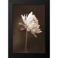 thumbnail image 2 of Peck, Gail 17x24 Black Modern Framed Museum Art Print Titled - Sepia Flower I, 2 of 5