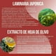 thumbnail image 2 of Reductor Abdominal Natural 90 Cápsulas, 2 of 6