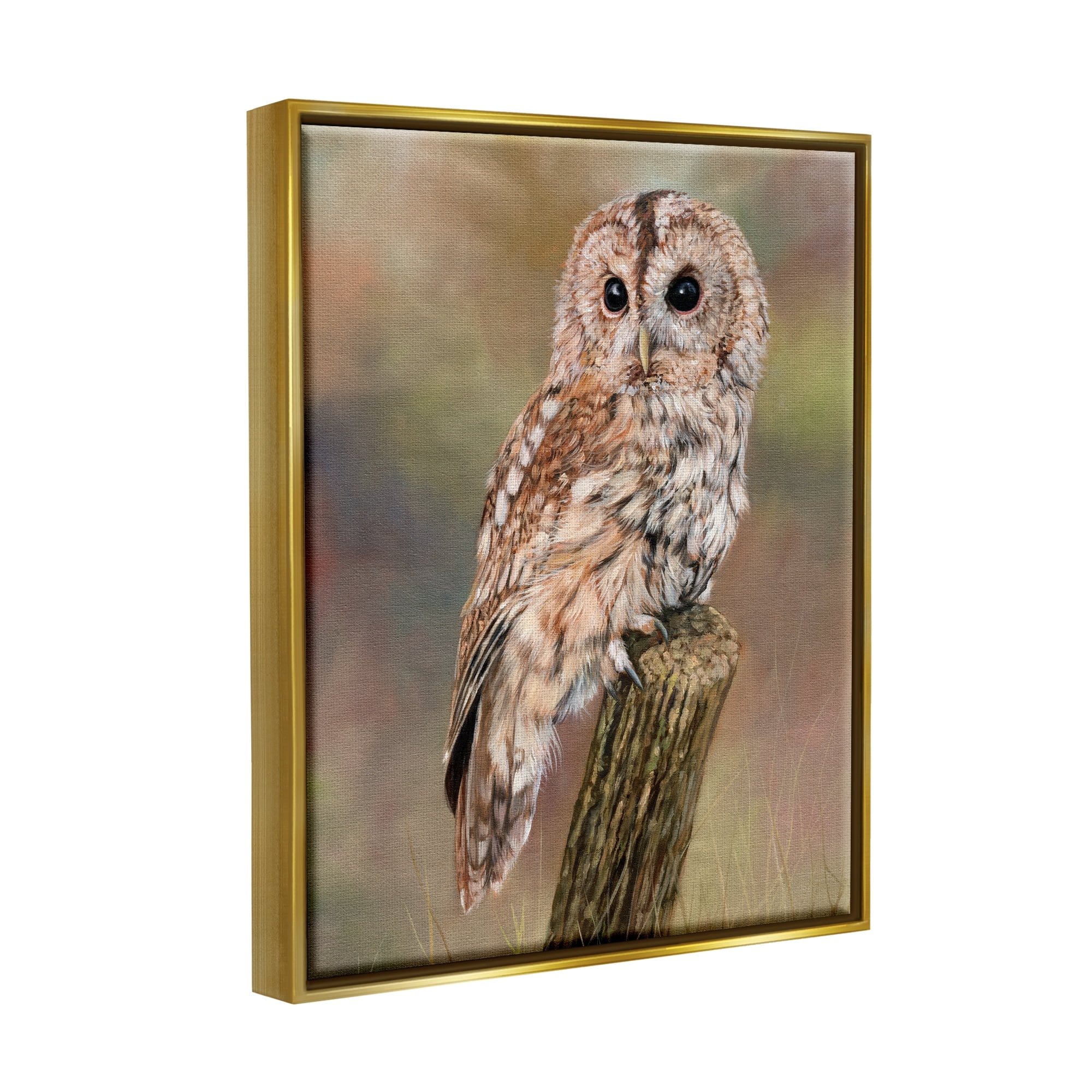 Stupell Industries Brown Tawny Owl Perched Intricate Woodland Wildlife Painting Painting Metallic Gold Floating Framed Canvas Print Wall Art, Design by David Stribbling