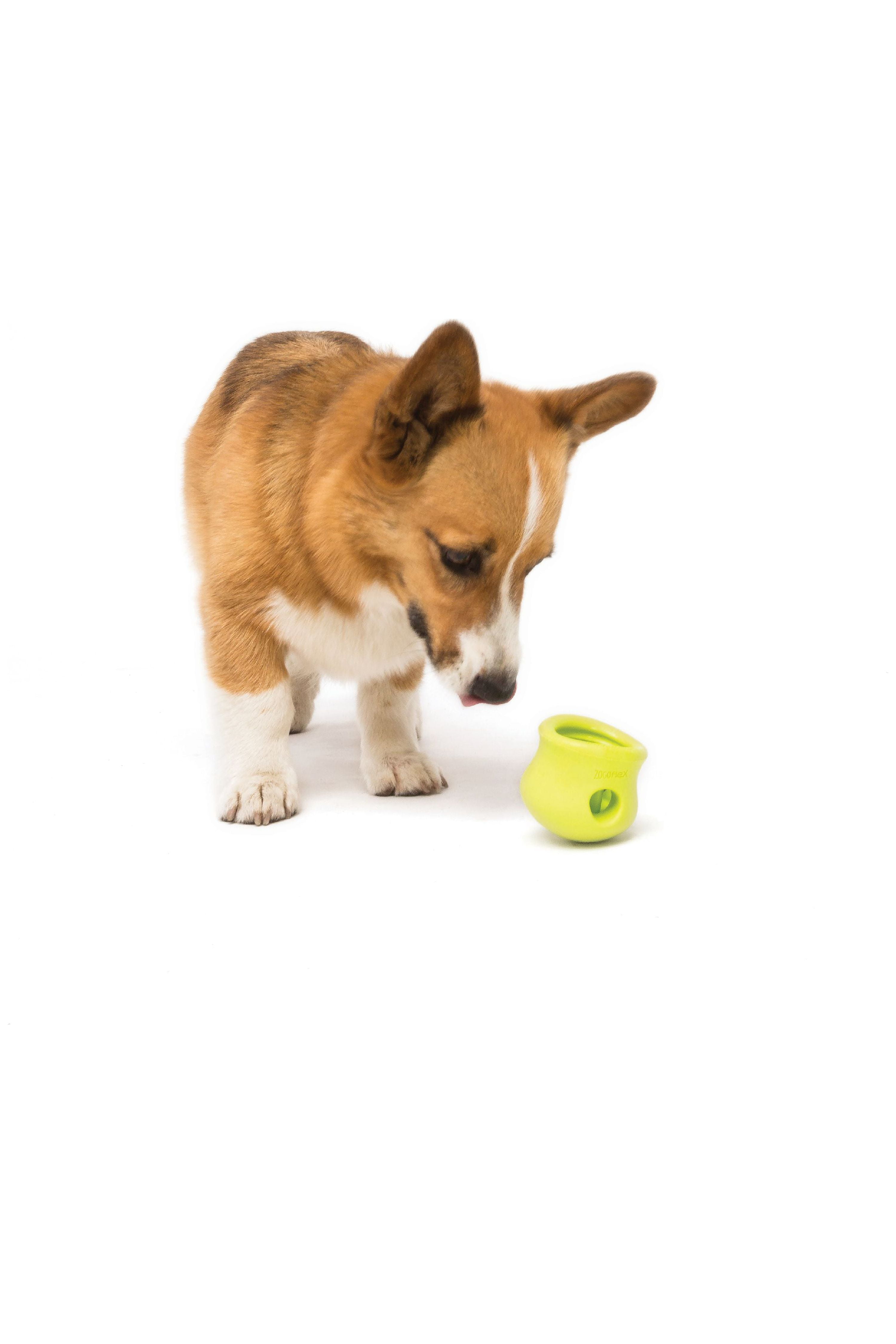 West Paw Zogoflex Toppl Dog Treat Toy – Animal Crackers Miami