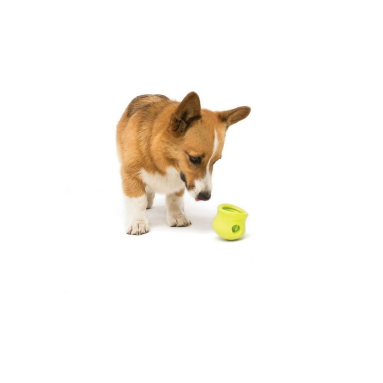 Toppl Treat Dispensing Dog Toy from West Paw Review! 