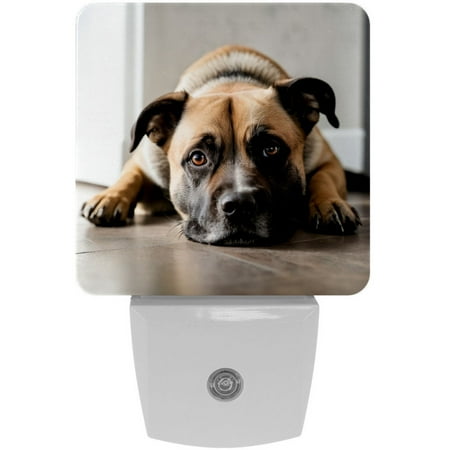 

LED Night Lights Plug into Wall 2-Pack 0.5W Plug in Night Light Dusk to Dawn White Bright Nightlight for Bedroom Bathroom Hallway Kitchen Pug Dog Animal