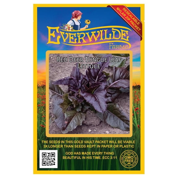 Everwilde Farms - 1000 Red Deer Tongue Leaf Lettuce Seeds - Gold Vault Jumbo Bulk Seed Packet