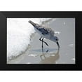 thumbnail image 2 of Nawrocke, Bruce 14x11 Black Modern Framed Museum Art Print Titled - Sandpiper II, 2 of 5