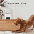 thumbnail image 3 of Petcube Bites 2 Lite WiFi Pet Camera with Treat Dispenser, 1080p HD Video, Two-Way Audio, Night Vision, Motion & Sound Alerts, Dog & Cat Monitor with App, 3 of 8