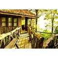 thumbnail image 3 of MOHome 7x5ft Treehouse Backdrop Bright Sunshine Green Trees Photography Background Children Kids Shooting Video Studio Props, 3 of 5