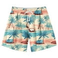 thumbnail image 2 of Fancifize Boys Tropical Casual Shorts, Stretchy Waist Casual Summer Pants for Beach Party & Daily Wear (Ages 7-14), 2 of 6