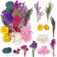 thumbnail image 1 of Dried Flowers, Dried Flowers, Dried Flowers for Crafts, Dried Flowers, Small Dried Flowers Set for Art, DIY, Resin, Scrapbooking, Crafts, Cards Making, 1 of 5
