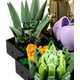 thumbnail image 4 of Bloques de Construcción de Plantas Suculentas JM 771 Piezas Plástico ABS, 4 of 8