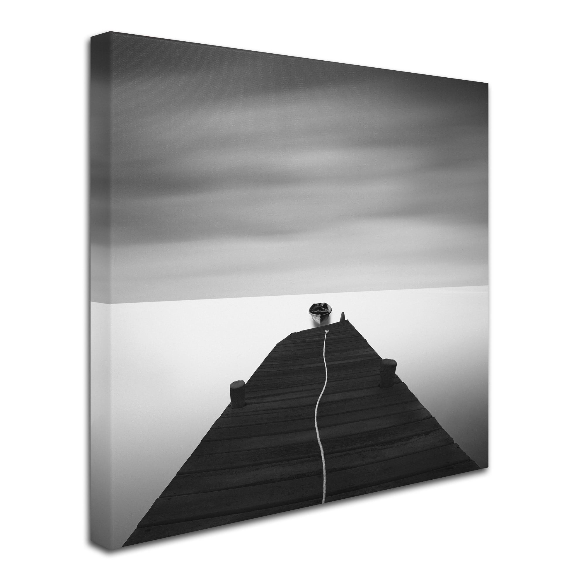 Trademark Fine Art "Free" Canvas Art by Moises Levy