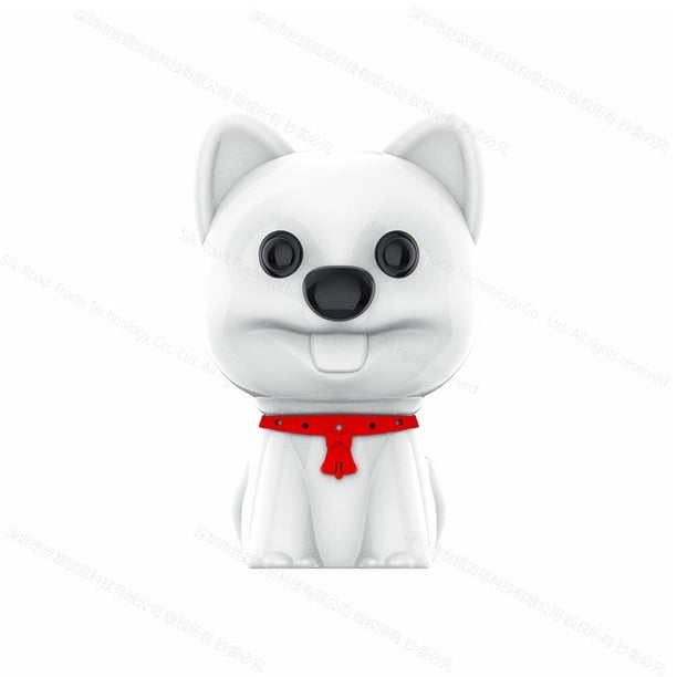 Yescool Cachorro E300 Clase de Seguridad Oculta para Niños Reunión Grabadora de Voz Digital Dije Portátil Grabación de Sonido Sigiloso Dictaphone-16GB Blanco