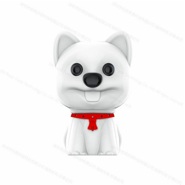 Yescool Cachorro E300 Clase de Seguridad Oculta para Niños Reunión Grabadora de Voz Digital Dije Portátil Grabación de Sonido Sigiloso Dictaphone-16GB Blanco