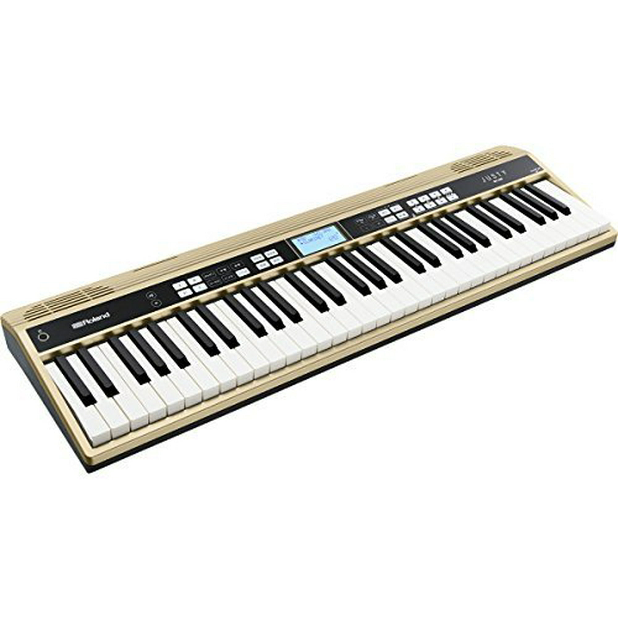 Roland　JUSTY Roland Roland /JUSTY HK-100 Harmony & Rhythm Practice