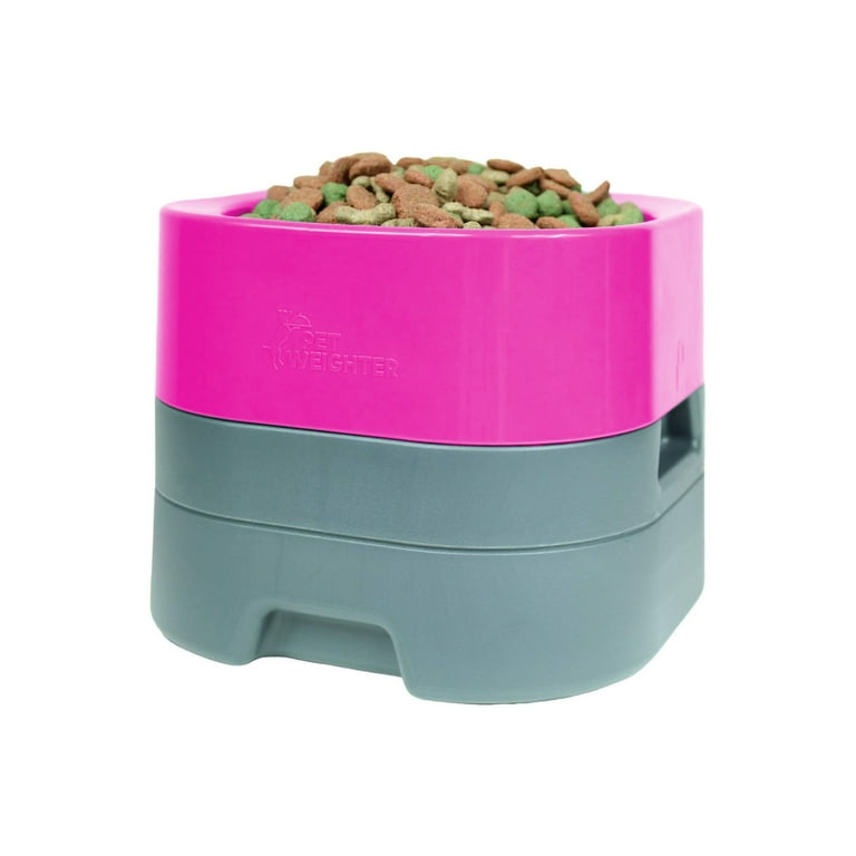 Elevated Dog Feeder - No Spill Dog Bowl - Eating Comfort