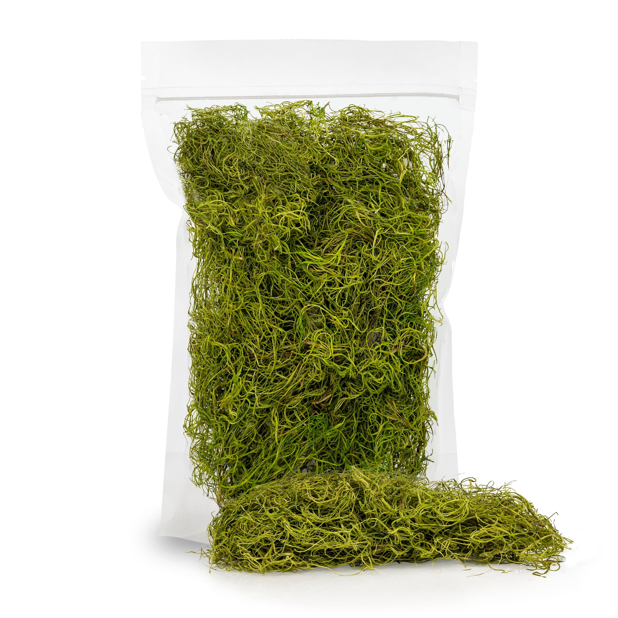 ⭐ PREMIUM Spanish Moss in Spring Green Natural Preserved Great Ground Cover Filler for