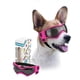 thumbnail image 1 of Gafas de sol PETLESO con protección UV para perros medianos, 1 of 7