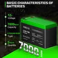 thumbnail image 2 of Batería THISSENERGYSYSTEM 12V 7Ah LiFePO4 con BMS, 2 of 7