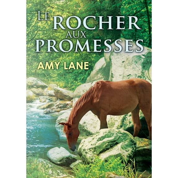 Promesses Le Rocher Aux Promesses: Volume 1, (Paperback)