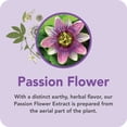 thumbnail image 6 of Botanic Choice Passion Flower Extract, Traditional Relaxation Supporter, Gluten and Alcohol Free Historic Herbal Supplement - 1 Fl. Oz, 6 of 10