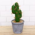 thumbnail image 3 of Simulation Tropical Plants Creative Artificial Cactus Fake Potted Bonsai Decor for Home Office (Pot Included) (Extra-lar, 3 of 8
