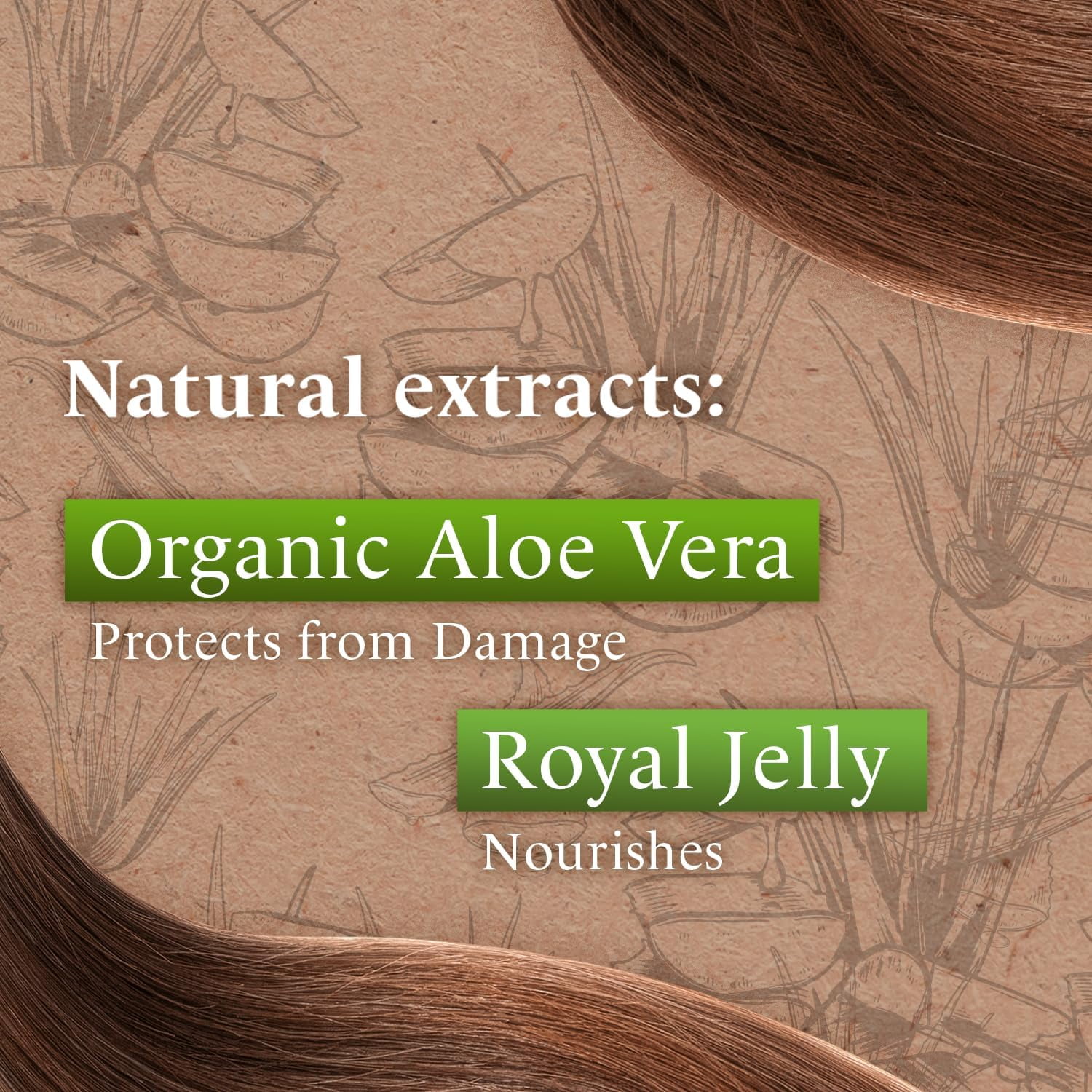 (3 pack) Tio Nacho Aloe Vera Deep Repair Shampoo with Royal Jelly, Anti-Hair Loss, Adults All Hair Types, 14 oz