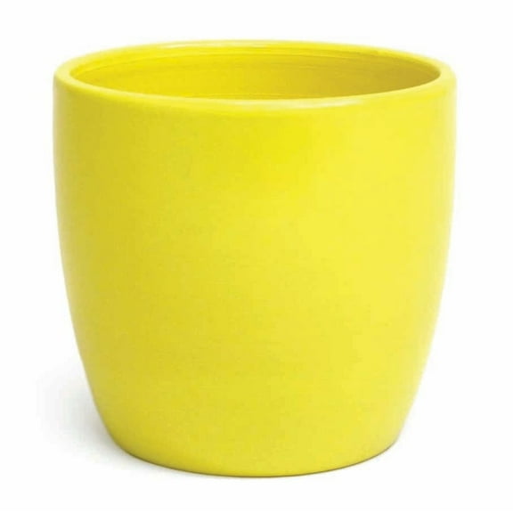 5.5" x 6.75" x 6.75" Oval Yellow Dolomite Plant Planter