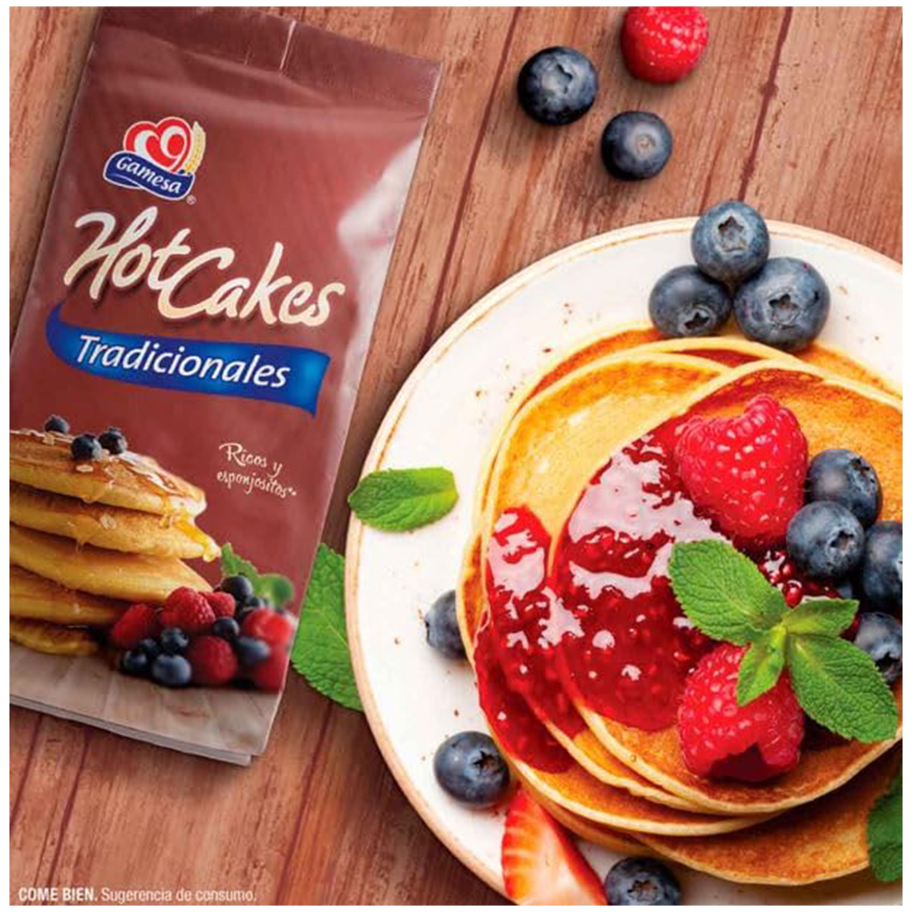 Gamesa Hotcakes Mix, 16 oz