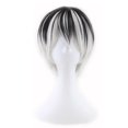 thumbnail image 1 of Pantalón corto de cosplay Wig Anime en dos tonos degradados para hombre y mujer, 1 of 2