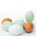 thumbnail image 2 of Wooden Chicken Egg Duck Egg Easter Egg DIY Graffiti Painted Tricky Toy (Random Color), 2 of 2