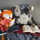 thumbnail image 2 of Fundas de almohada decorativas grises de 35 x 35 cm (14 x 14 pulgadas), cojines de algodón y lino con estampado de cuentas para sofá, estilo moderno con estampado floral - Rada, 2 of 8