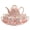 Pink, variant on Water Kettle Set, European and American Style Ceramic Tea Set for Home Living Room, Water Utensils