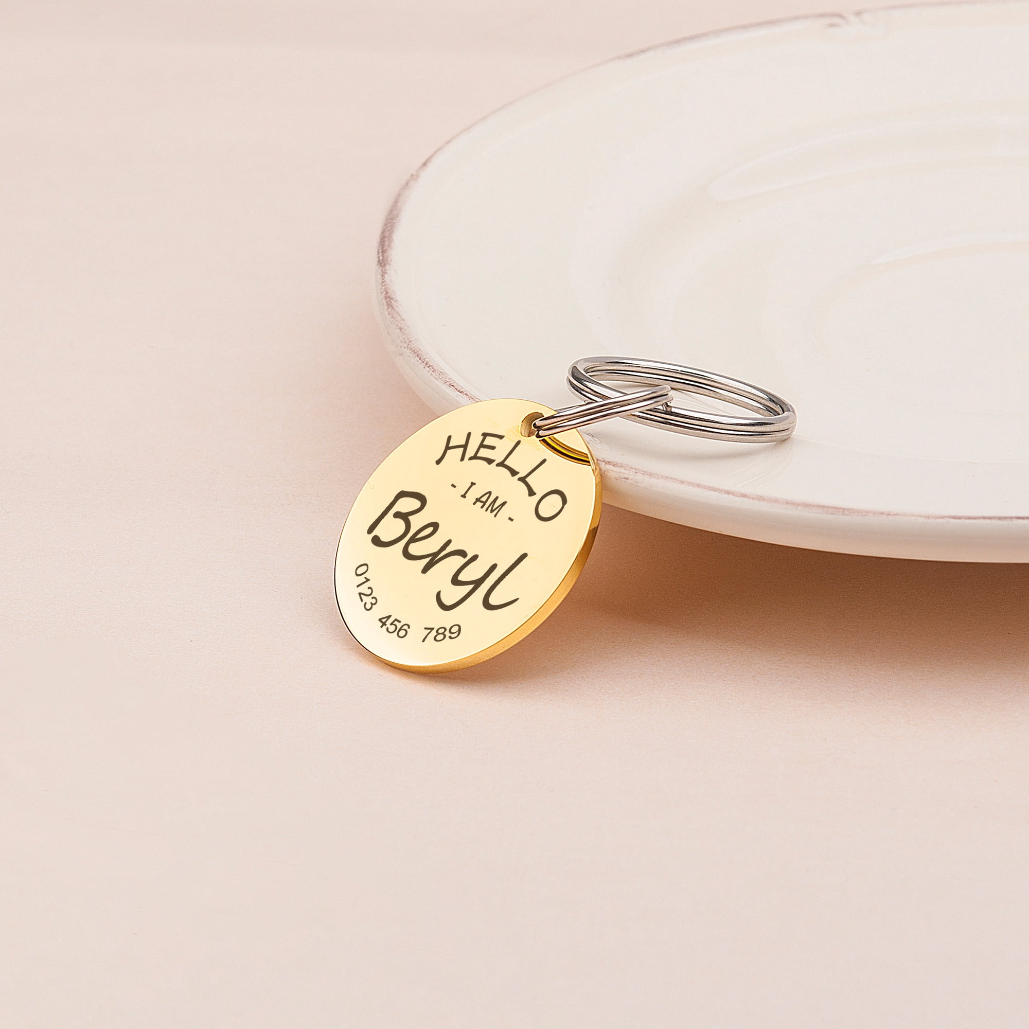 Anavia Stainless Steel Double Sided Round Name - Phone & Hello I Am Engraved Dog & Cat ID Tag, Gold, M