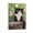 Frame-style, variant on Margaret Keane Cats Animal Poster3 Poster Decorative Painting Canvas Wall Art Living Room Posters Bedroom Painting 16x24inch(40x60cm)