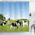 thumbnail image 1 of Cattle Shower Curtain, Graphic Illustration of Domestic Cows Eating Grass on Meadow in Sunny Day Theme, Fabric Bathroom Set with Hooks, 69W X 70L Inches, Multicolor, by Ambesonne, 1 of 3