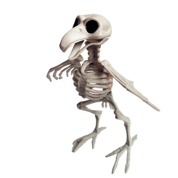 Animal Skeleton Model Halloween Decoration Crow Spider Lizard Cat Skull Statue Halloween Skeleton Sculpture Resin Ornament Holiday Party Home Garden L