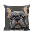 thumbnail image 2 of Tuvgenk Throw Pillow Covers Indoors Polyester Embroidered 18x18 In Pillowcases Multicolor Decor Cat for Patio, 2 of 6