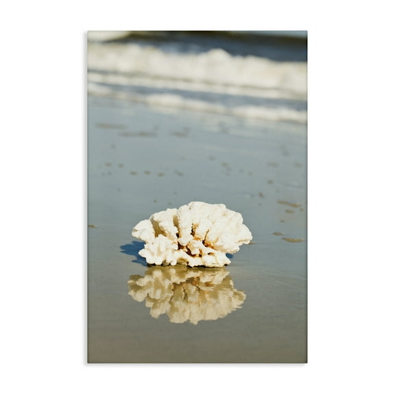 Stupell Industries Coral on Sea Shore Coastal Photography Gallery Wrapped Canvas Art Print Wall Art, 16 x 24