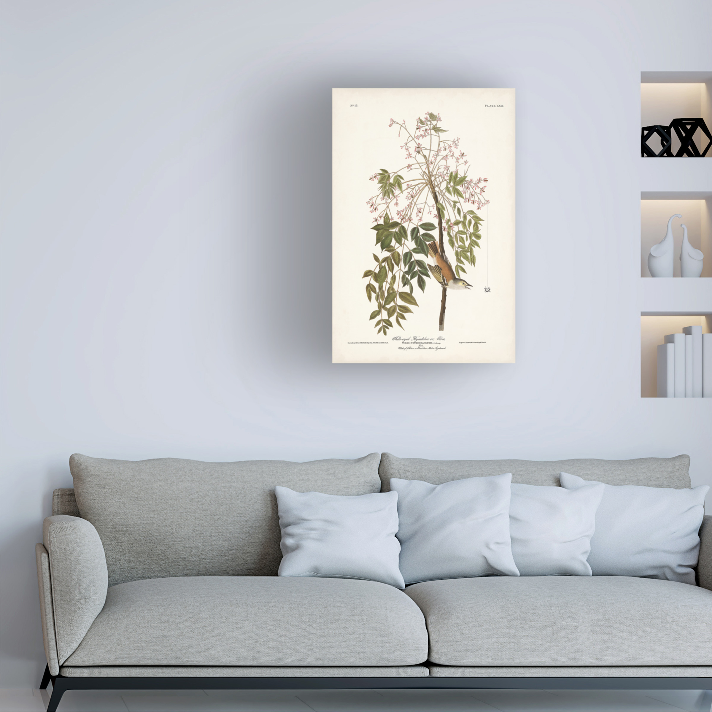 John James Audubon 'White Eyed Flycatcher' Canvas Art