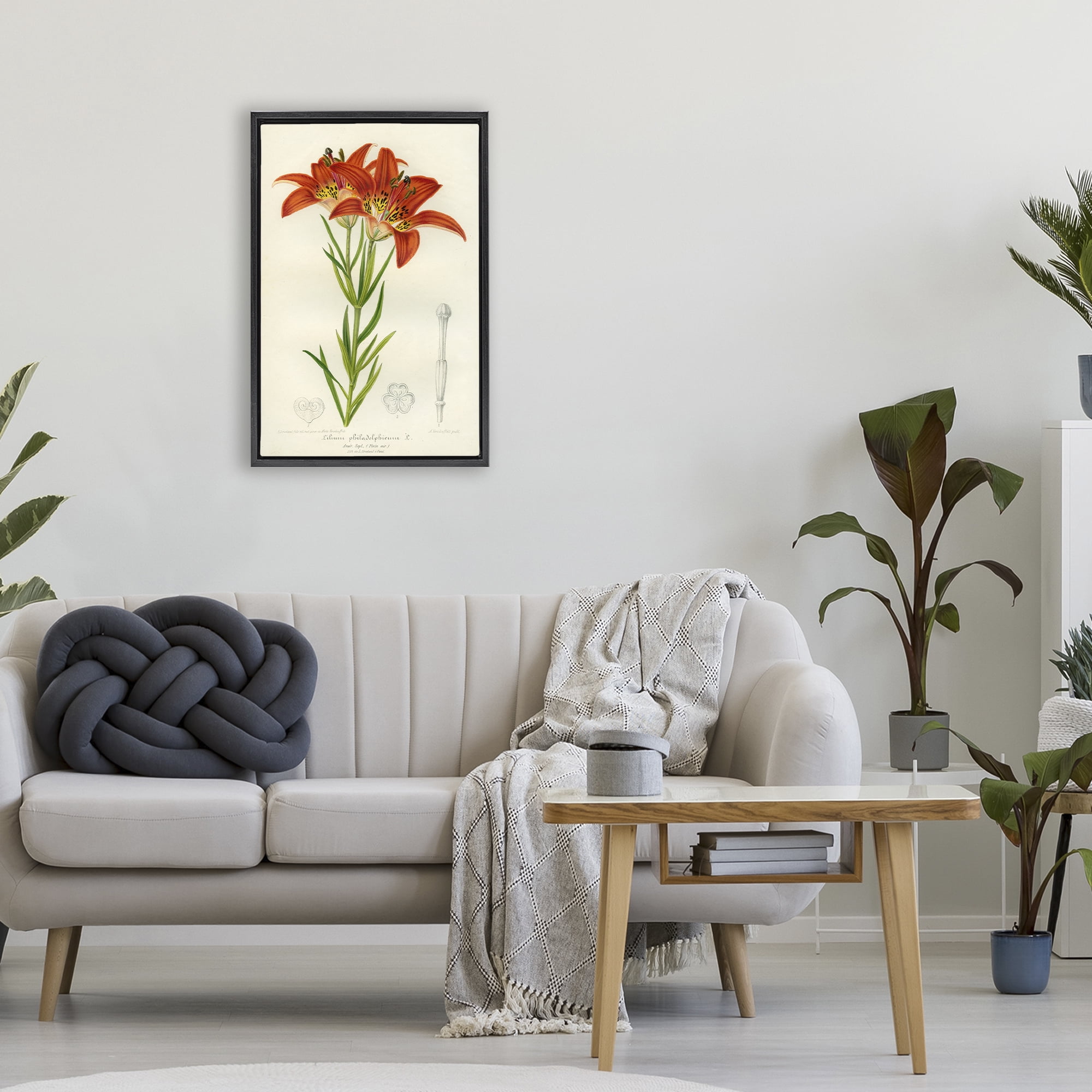 Stupell Industries Western Red Lily Black Framed Floater Canvas Wall Art, design by Print Collection