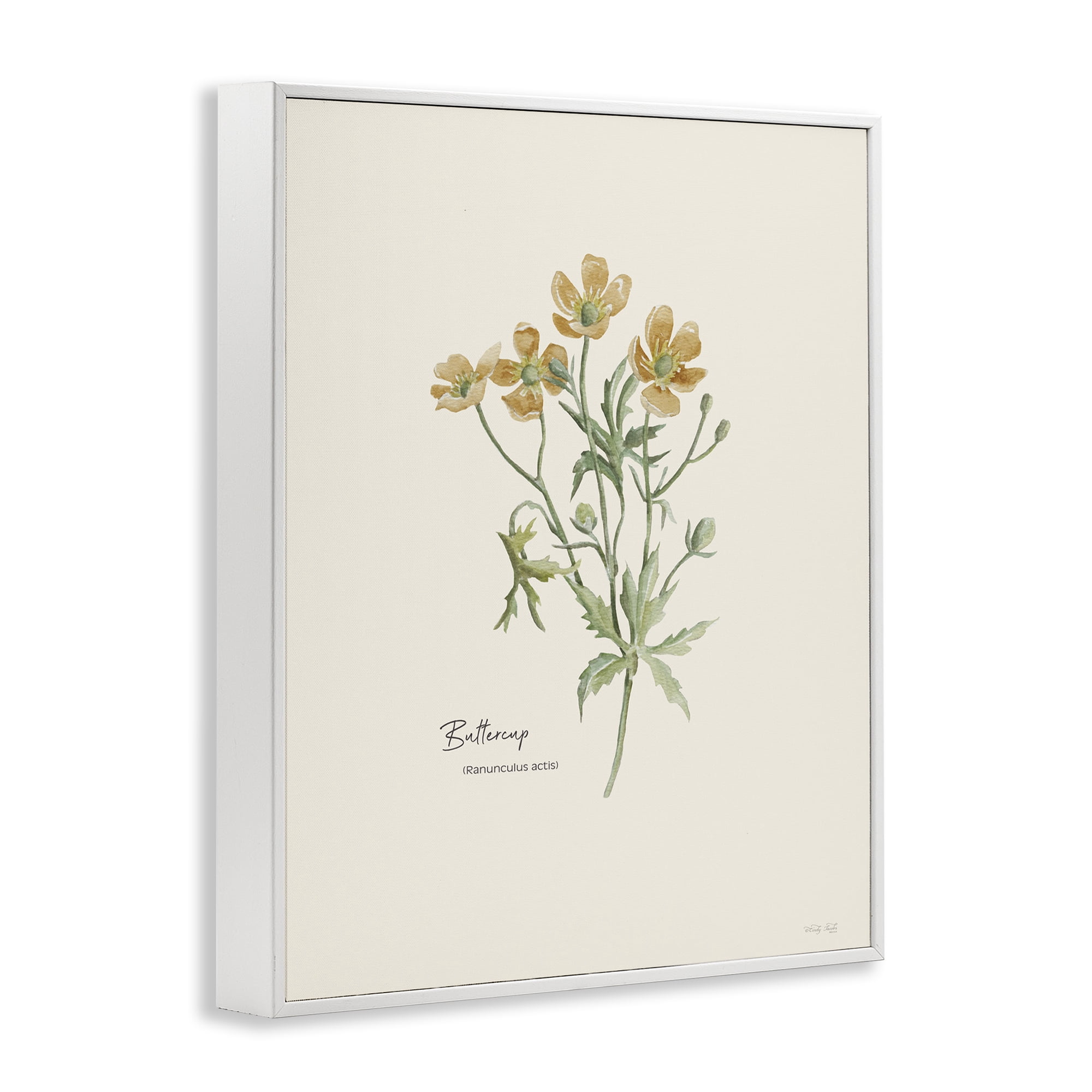 Stupell Industries Simple Buttercup Flowers Botanical & Floral Painting White Framed Art Print Wall Art, 11 x 14