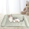 thumbnail image 2 of Cooling Dog Bed with Ice Silk Pad Mat and Pillow, Non-Slip Cooling Mat for Medium Small Dogs up to 50lbs, Pet Cool Pad with Summer Cool Fabric(24"*14"), 2 of 5