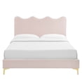 thumbnail image 5 of Modway Current Performance Velvet Queen Platform Bed in Pink, 5 of 10