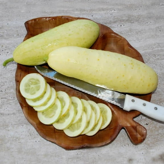 Cucumber Seeds - White Wonder - Packet -  Vegetable Seeds,  Heirloom Seed, Open Pollinated Seed  Easy to Grow & Maintain, Container Garden