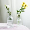 thumbnail image 6 of Plant Propagation Buddies - 3 Cute Supports for Sprouts, Stems, Shoots, and Cuttings; Ideal for Indoor Gardens and Propagation Stations; Perfect Gifts for Plant Lovers, 6 of 6