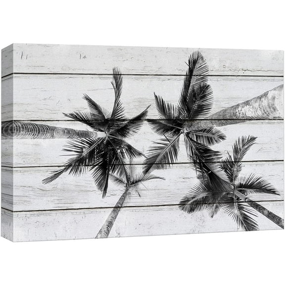 wall26 Canvas Print Wall Art Black & White Palm Tropical Palm Trees Nature Wilderness Wood Panels Modern Art Multicolor Zen Rustic Decorative Relax/Calm for Living Room, Bedroom, Office - 16"