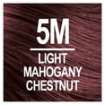 thumbnail image 3 of Naturtint 5M Light Mahogany Chestnut Permanent Hair Color, 1 Pack (Packaging May Vary), 3 of 8