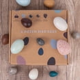 thumbnail image 3 of Wood Simulation Eggs  Diy Easter Egg  Artificial Bird Eggs 12PCS Portable Wood Simulation Eggs DIY  Easter Egg For Home And Party Decor Artificial Bird Eggs, 3 of 8