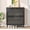 Black - With Shelf, variant on Modern 2 Flip Drawer Shoe Cabinet for Entryway, Narrow Natural Storage Organizer