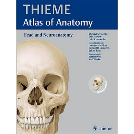 Download Download Students Atlas Of Neuroanatomy Pdf Free | Car Design Books Pdf Free Download